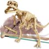 4M Dig A Dinosaur Skeleton Tyrrannosaurus Rex