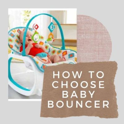 Baby Bouncer