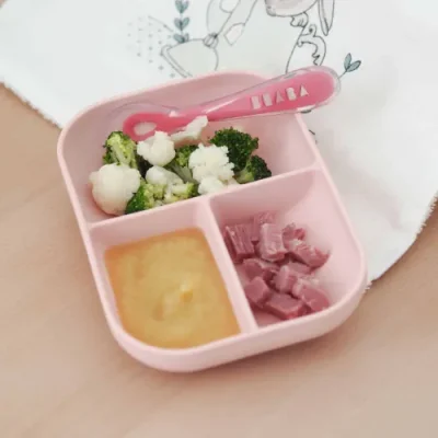 Beaba Silicone Meal Set