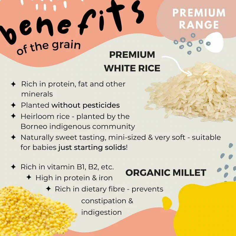 Gnubkins Baby Grains - JUNIOR NUTRI-COLOUR