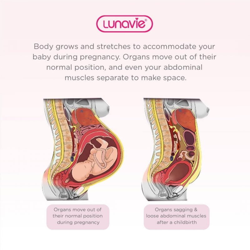 Lunavie Postpartum Abdominal Binder Descriptions