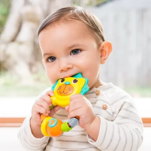 Infantino Lion Teether