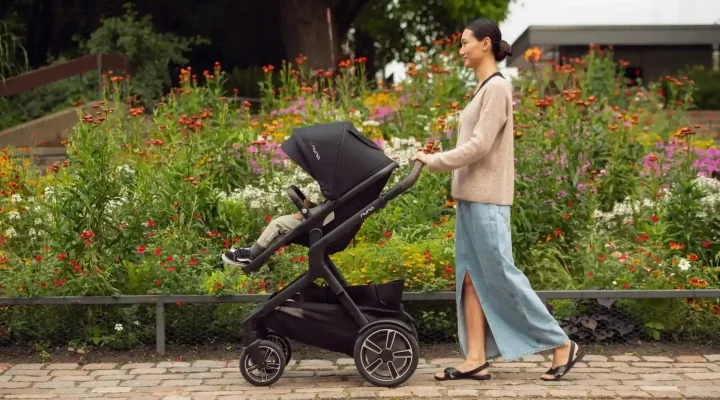 Nuna Demi Next Stroller