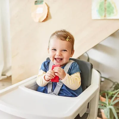 Nuna Zaaz Baby Highchair