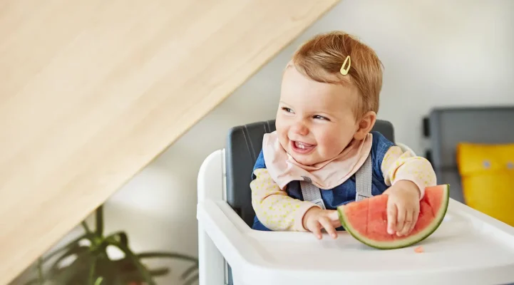 Nuna Zaaz Baby Highchair BANNER