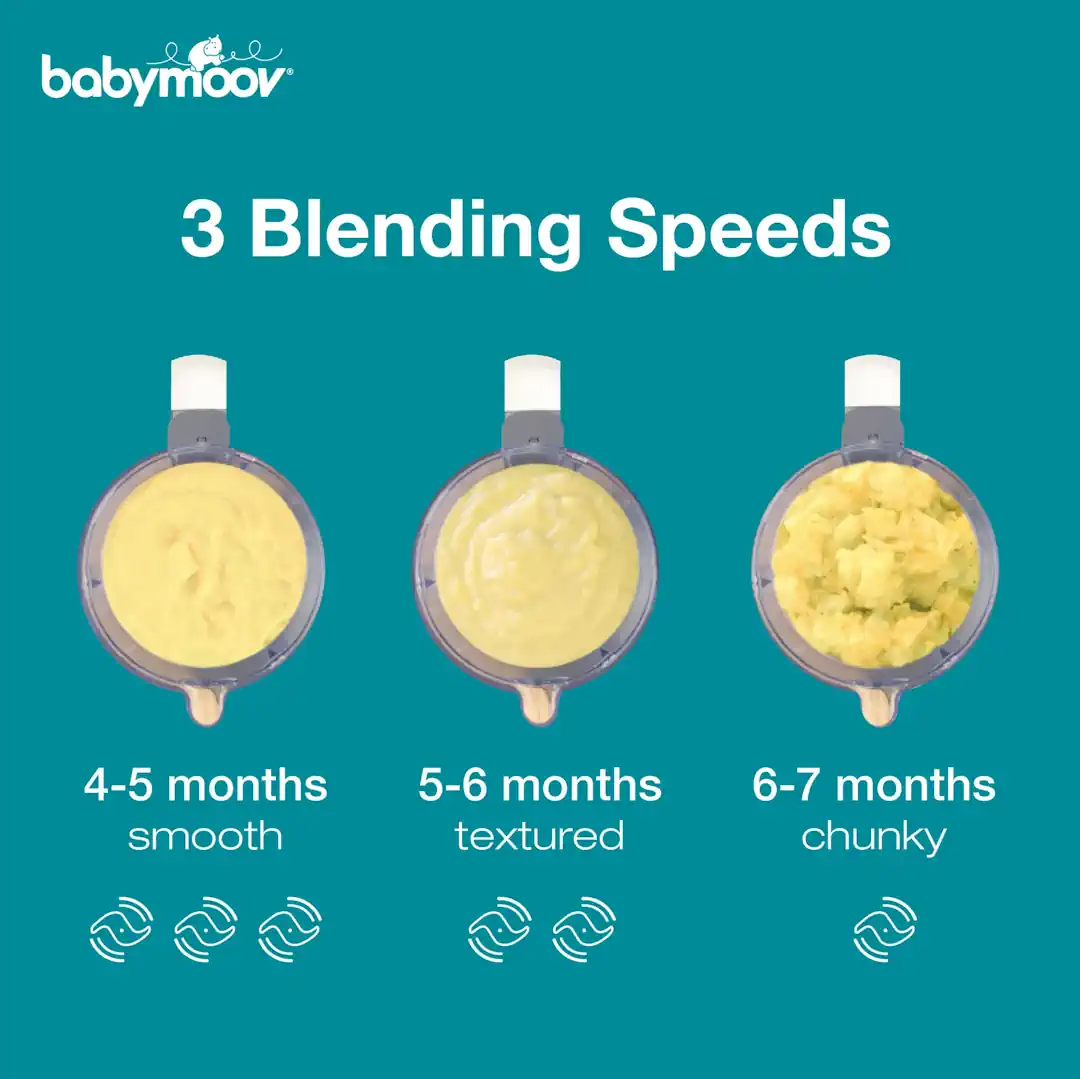 Babymoov Nutribaby Baby Food Processor