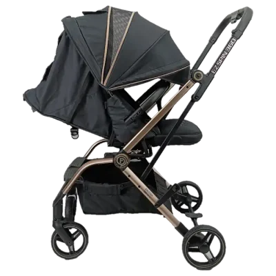 Fairworld EZ Spin Stroller BC 8-CX BLACK REAR VIEW SIDE VIEW