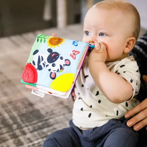 Baby Einstein Curios Explorer Teether Book