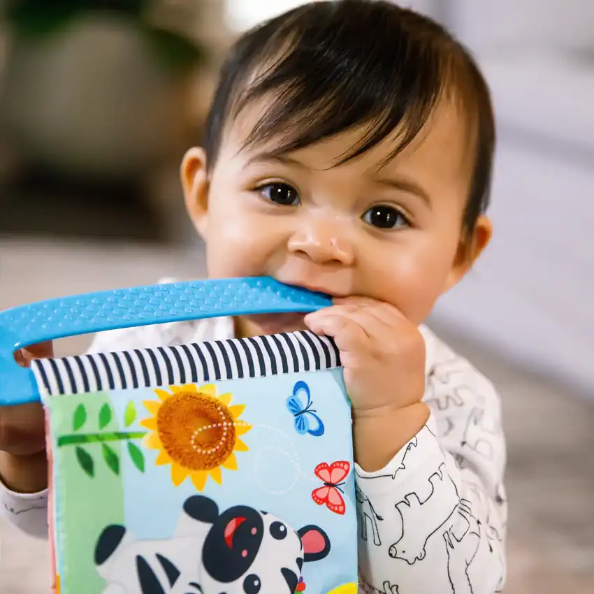 Baby Einstein Curios Explorer Teether Book