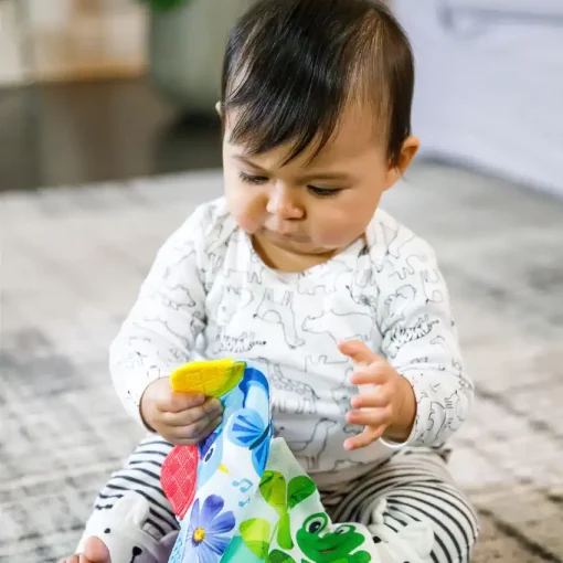 Baby Einstein Curios Explorer Teether Book