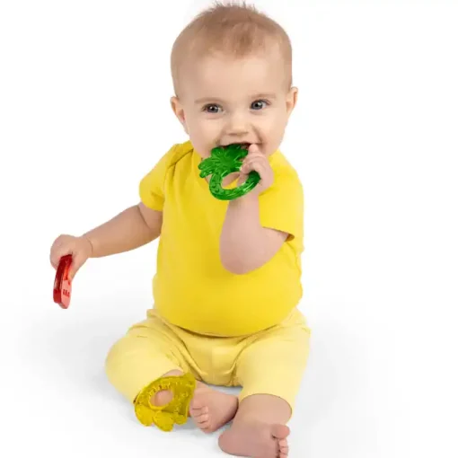 Bright Starts Juicy Chew Teether - 3pcs