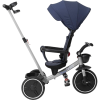 Chicco 4-in-1 Trike