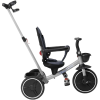 Chicco 4-in-1 Trike