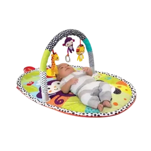 Infantino Explore & Store Activity Gym