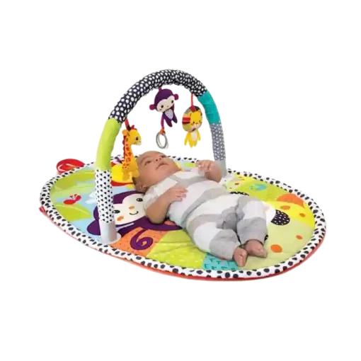 Infantino Explore & Store Activity Gym