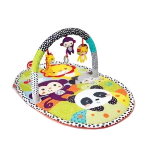 Infantino Explore & Store Activity Gym