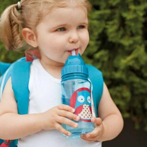 Skip Hop Zoo Straw Bottle - Flamingo – Buttercup